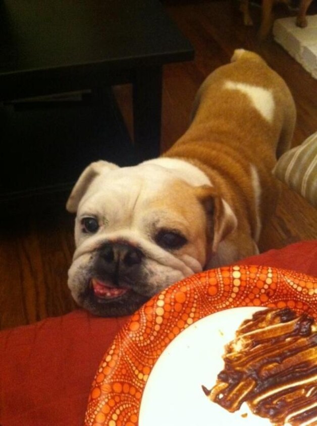 Lola (foto: Jack Osbourne)