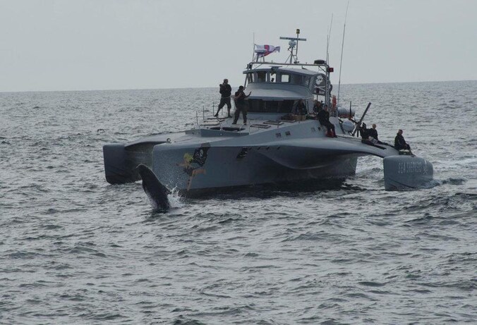 De Brigitte Bardot, het huidige interventieschip van Sea Shepherd, liep vorige winter zware averij op.