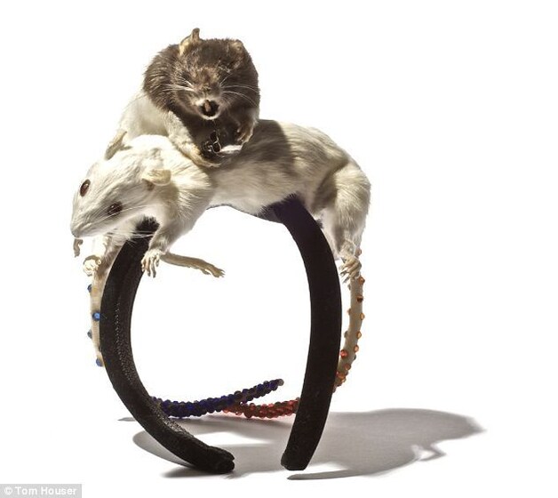 'Double Rat Headdress'