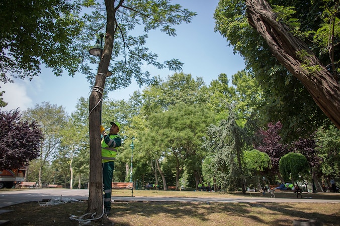 De bomen in het Gazipark zullen niet gekapt worden, als het van de rechter afhangt.