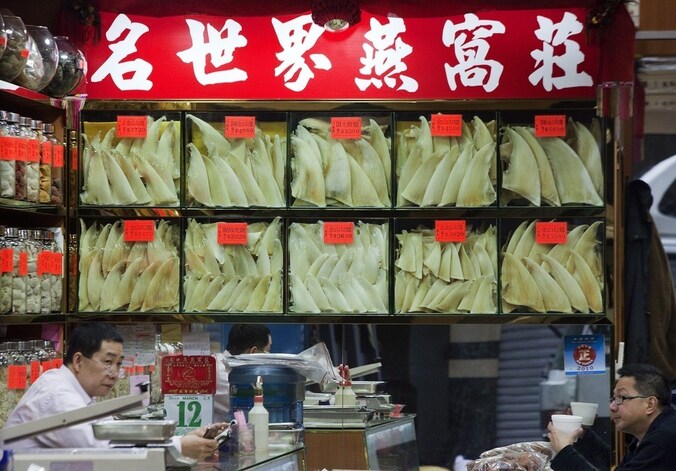 Een haaienvinhandelaar in Hong Kong.