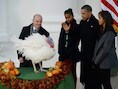 Obama, in gezelschap van zijn dochters Malia (R) en Sasha en de voorzitter van de Amerikaanse Kalkoen Federatie John Burke (L), verleent Popcorn gratie.