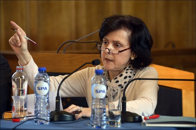 Professor Karen Maex.
