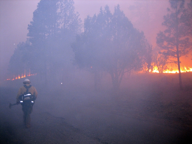 Meer dan 1200 brandweermannen probeerden het vuur te blussen over een oppervlakte van 1000 vierkante kilometer.