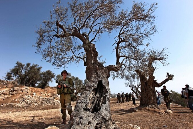 Israëlische soldaten houden nabij Hebron actievoerders tegen die Palestijnse boeren willen helpen bij de olijvenpluk.