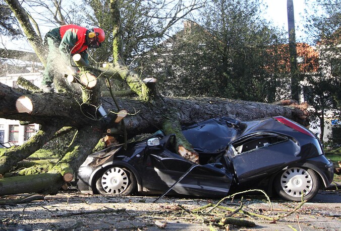 Omgewaaide bomen zorgen voor heel wat ravage zoals hier in Gent.