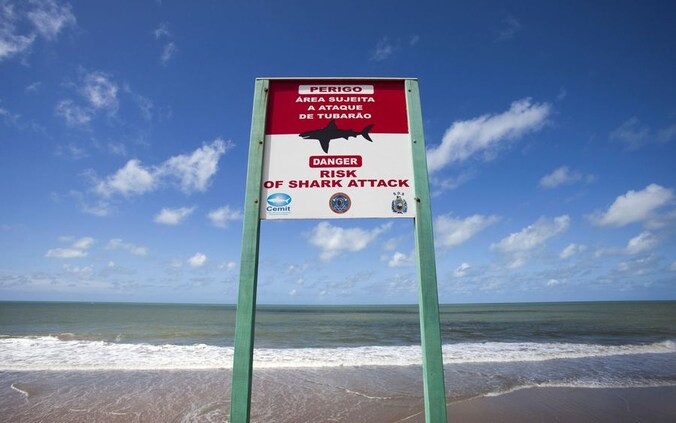 Een bord waarschuwt voor haaienaanvallen aan het strand van Recife.