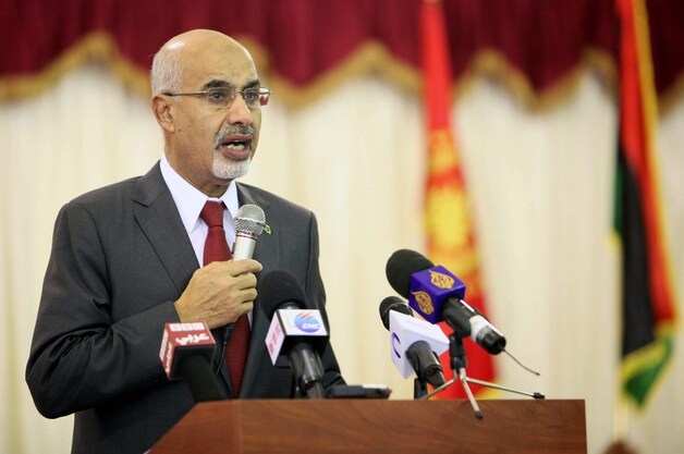 Mohamed al-Megaryef