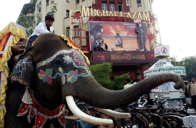 Een olifant op straat in Mumbai.