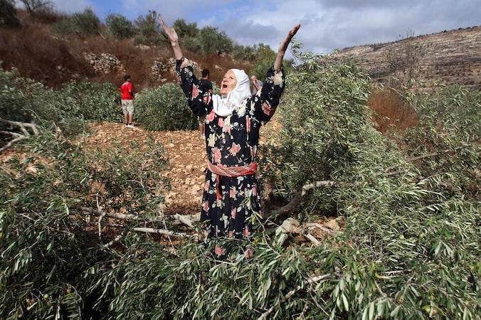 Deze 73-jarige Palestijnse is de wanhoop nabij nadat 40 van haar olijfbomen werden vernield door Israëlische kolonisten. Het incident gebeurde nabij de Israëlische nederzetting Elie in de buurt van Nabloes op de Westoever.