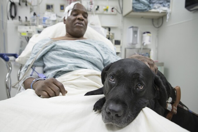 Cecil en Orlando herstellen samen in het ziekenhuis.