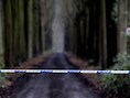 Het lichaam van de kasteelheer werd gevonden in een bos in Maria Aalter.