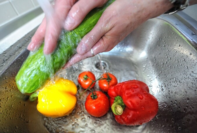 Duitse bladsla, tomaten en komkommers zouden geen bron van besmetting zijn.