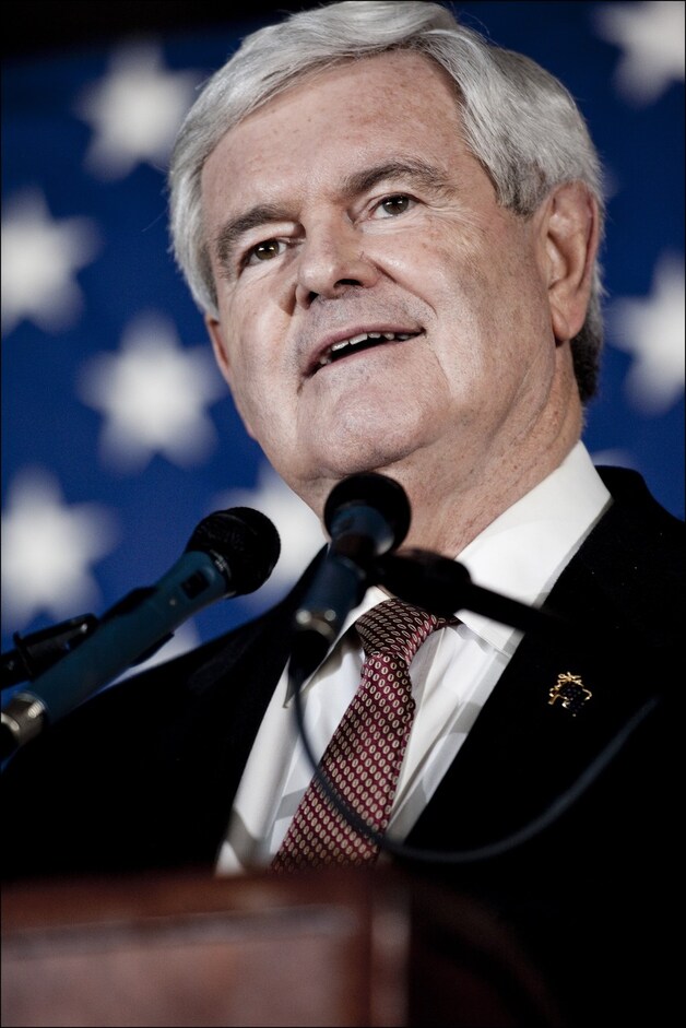 Newt Gingrich.