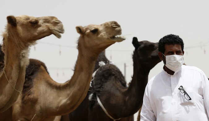 Een man draagt een mondkapje in Saoedi-Arabië waar MERS al zo'n 500 slachtoffers heeft gemaakt