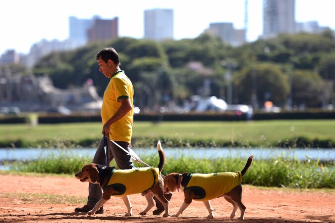 Toen Brazilië nog niet uitgeschakeld was op het WK: een man laat zijn twee honden buiten in het Ibirapuera Park in Sao Paulo.