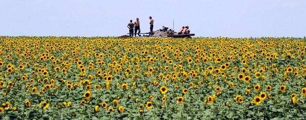 Oekraïense troepen in een zonnebloemenveld bij Donetsk.