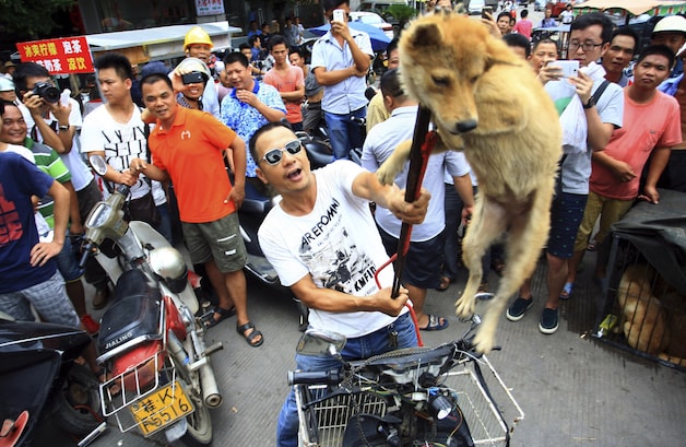 Een handelaar in Yulin toont een hond op een spies.