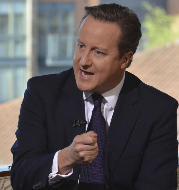 De Britse premier David Cameron.