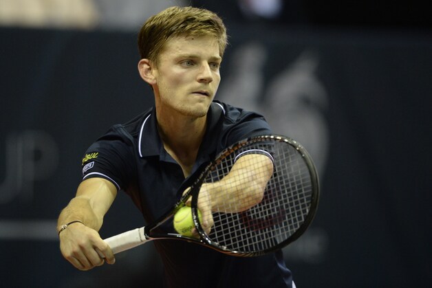 David Goffin