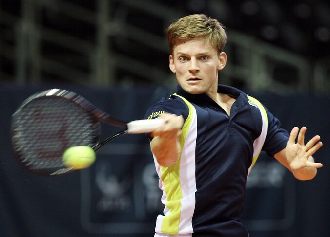 David Goffin