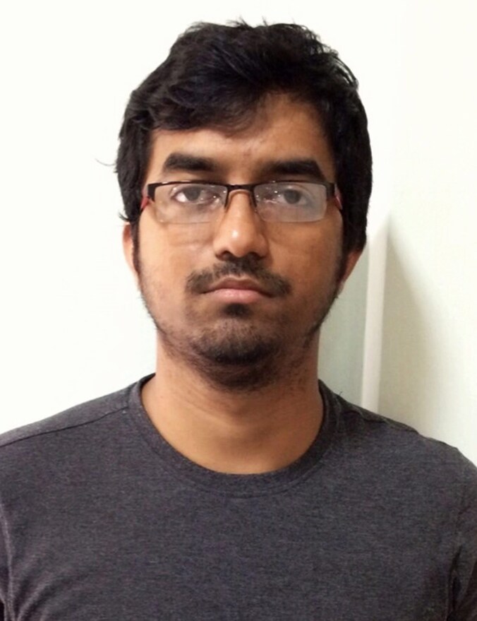 Mehdi Masroor Biswas