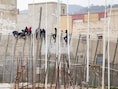 Gisteren waren er zeker 35 mensen in geslaagd om vanuit Marokko de grensomheining over te klauteren en in de EU te geraken.