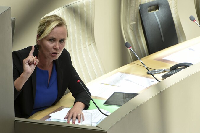 Bevoegd minister Homans in het Vlaams parlement.