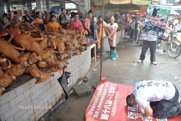 Hondenkadavers op een markt in Yulin.
