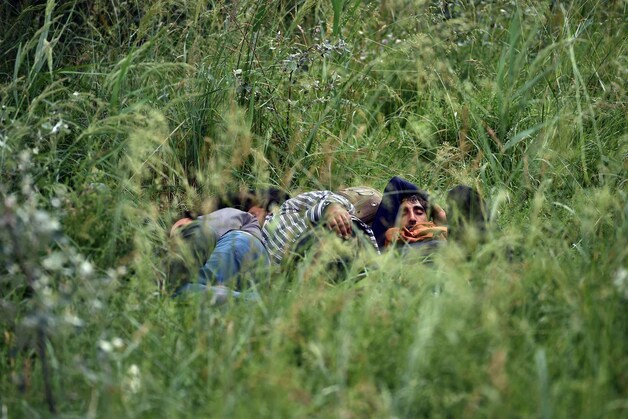 Illegale immigranten rusten uit in het gras bij een verlaten steenfabriek in de buurt van de noordelijke Servische stad Subotica.