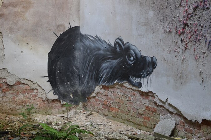 Een ROA-schildering op een afbrokkelende muur in de Gentse Malmarfabriek.