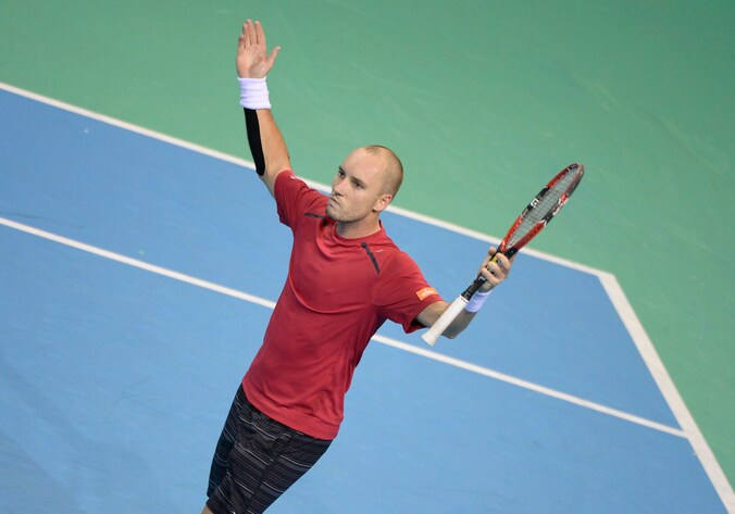 Steve Darcis