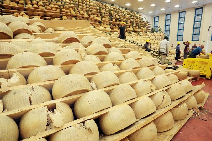 De beschadigde kazen van Grana Padano.