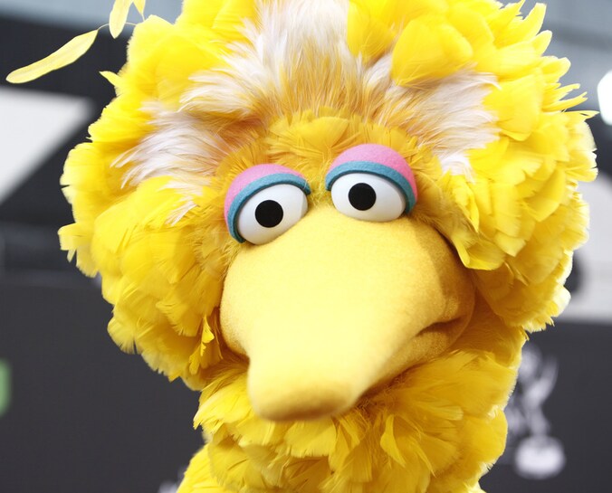 De Amerikaanse Big Bird.