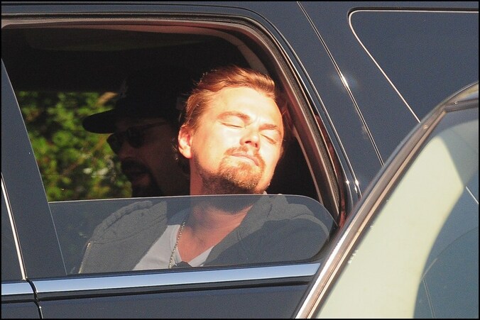Leonardo DiCaprio.