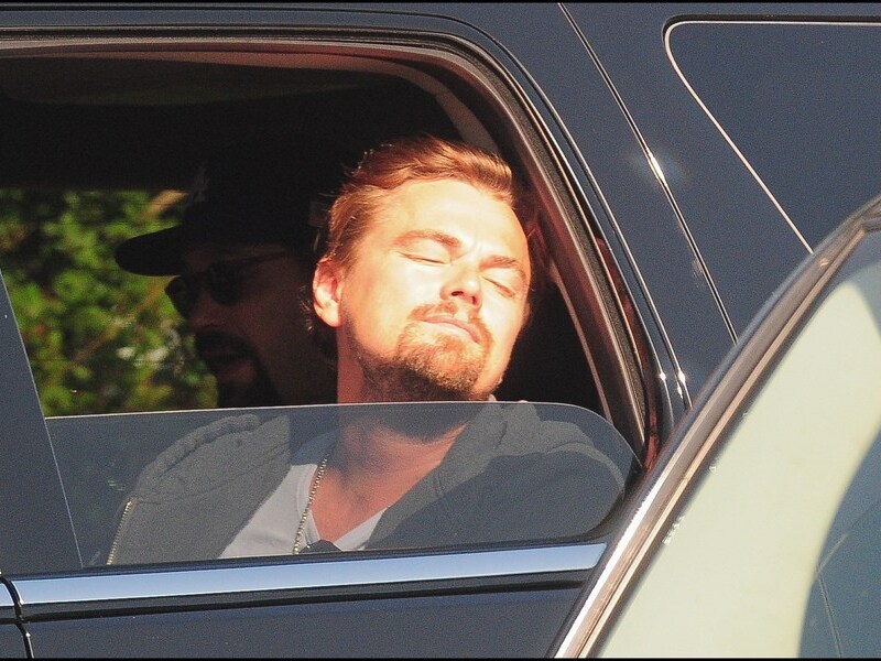 Leonardo DiCaprio.