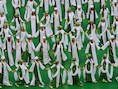 Artiesten in de kleuren van Nigeria tijdens de openingsceremonie in Brasilia.