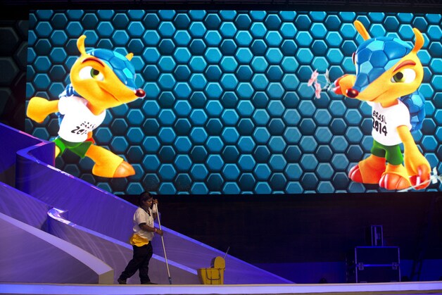 Fuleco, de mascotte van het WK, eveneens een kogelgordeldier