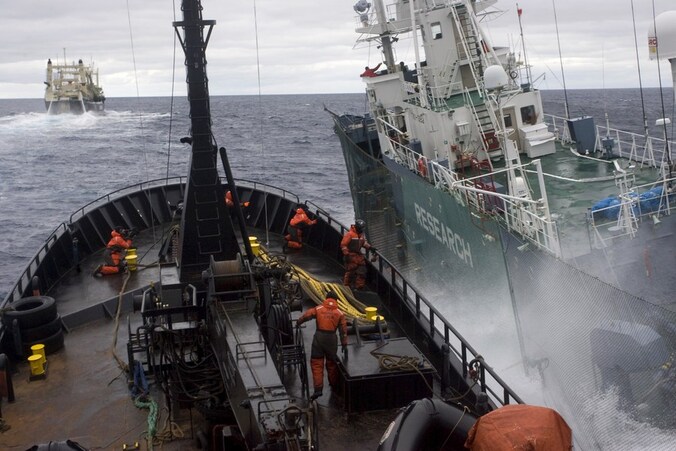 Het schip 'Bob Barker' van Sea Shepherd gaat langszij een schip van de Japanse walvisvloot tijdens een eerdere campagne in de Zuidelijke IJszee.