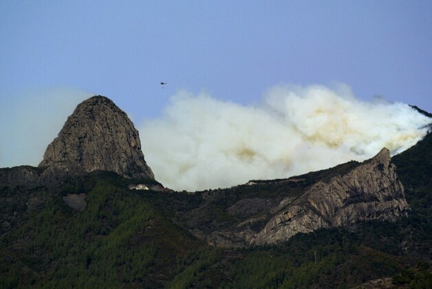 Het nationale park Garajonay op La Gomera.