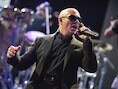 Pitbull.