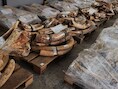 Vier ton ivoor uit Kenia en Tanzania werd vorige maand nog in Hongkong onderschept.