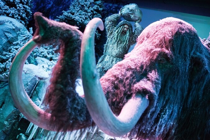 Beeld van een mammoet