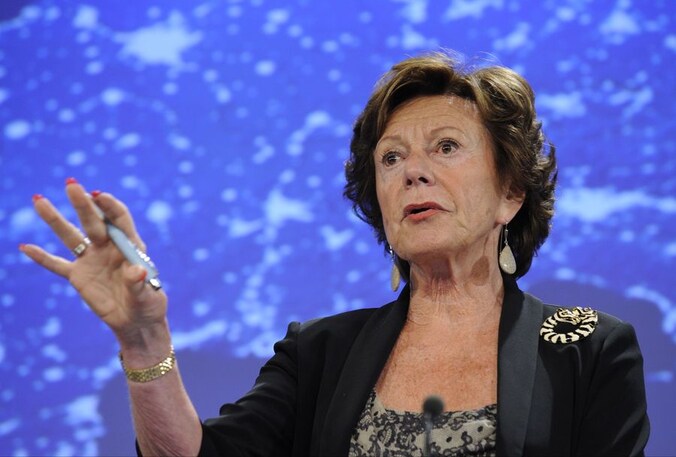 Neelie Kroes.