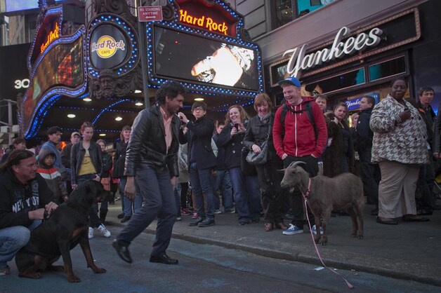 De moedige Cocoa liet zich zelfs niet afschrikken door New Yorks gevaarlijkste honden
