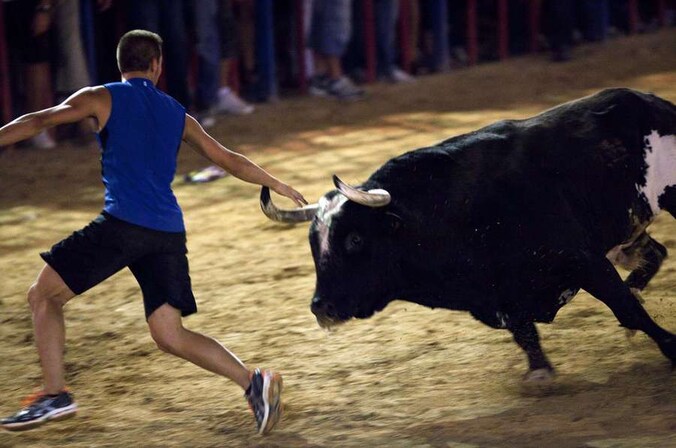 De Spaanse stier 'Ratón' in betere tijden