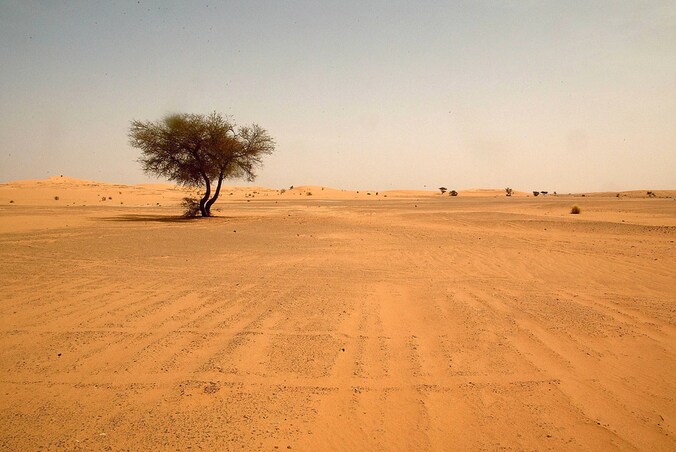 Sahara woestijn in Zuid-Algerije