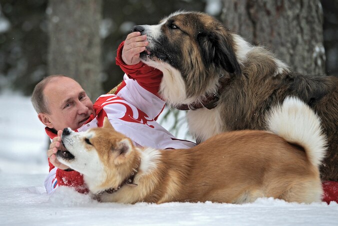 President Poetin met twee honden in de buurt van Moskou, in maart. De foto werd vandaag door een Russisch persagentschap verspreid.