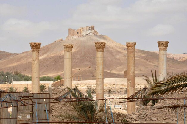 De historische site van Palmyra.