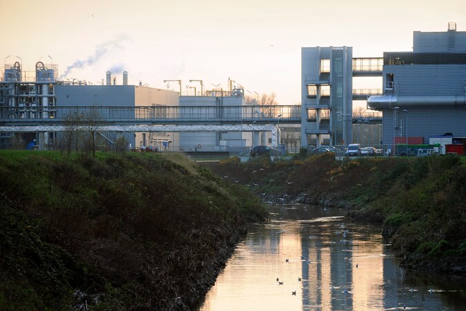 Het Brussels waterzuiveringsstation is de bron van alle ellende.